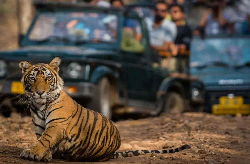 Heritage Rajasthan Tour Package