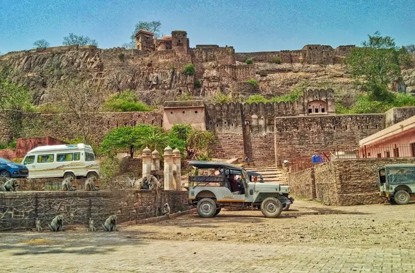 Tigers, Lions and Leopards Wildlife Tour