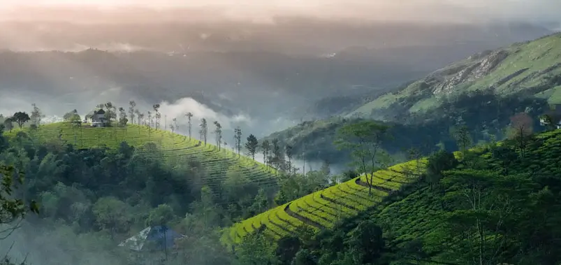 Munnar