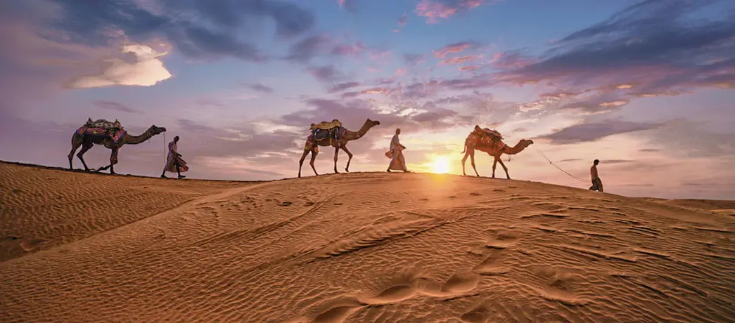 Rajasthan-Golden-Winters