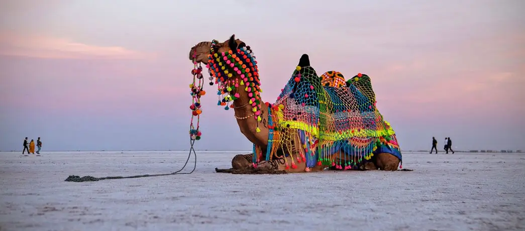 rann-of-kutch